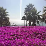 Edificio Playa Paraíso