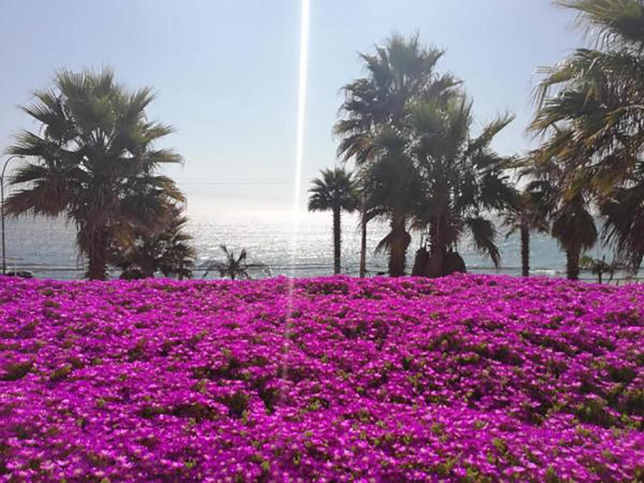 Playa Paraiso *